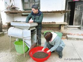 飞鼠变身致富宝，引领农户新财路