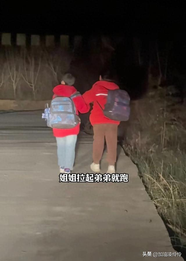 百万粉丝博主为两孩子修全村路灯