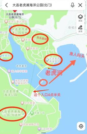 探秘辽宁5A景区，大连老虎滩海洋公园的奇妙之旅